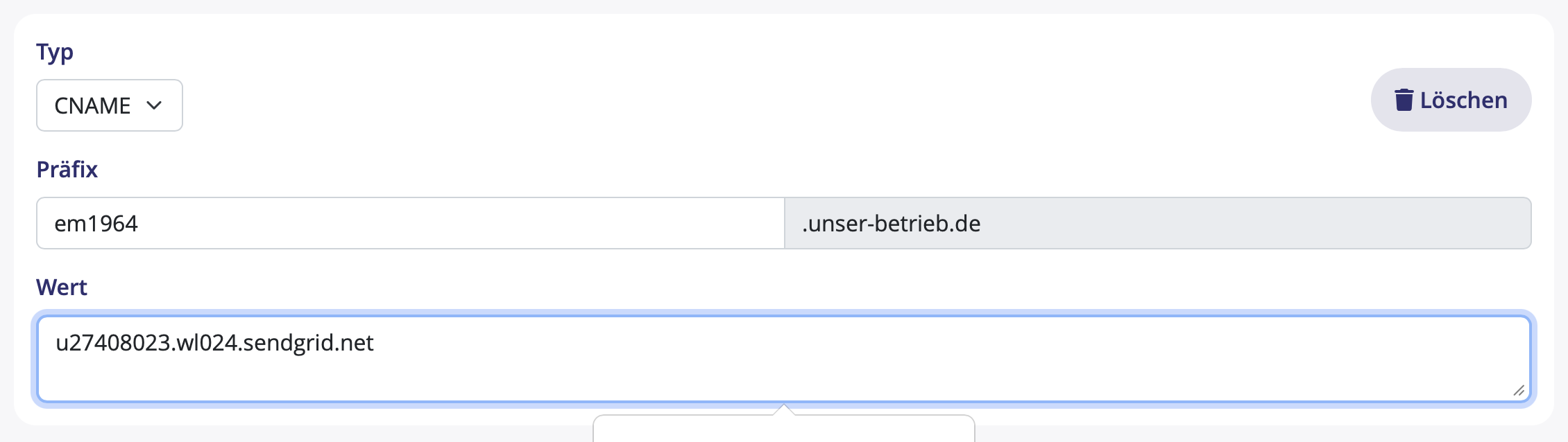 Ein DNS-Eintrag wird erstellt Ein DNS-Eintrag wird erstellt
